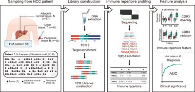 Characteristics and Clinical Significance of T-Cell Receptor Repertoire in Hepatocellular Carcinoma